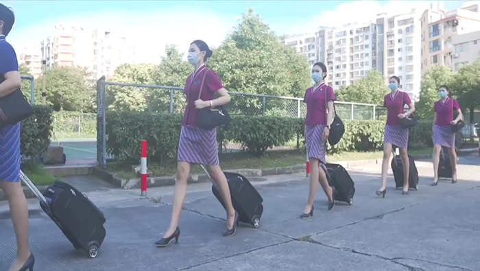 波士顿大学生伴游